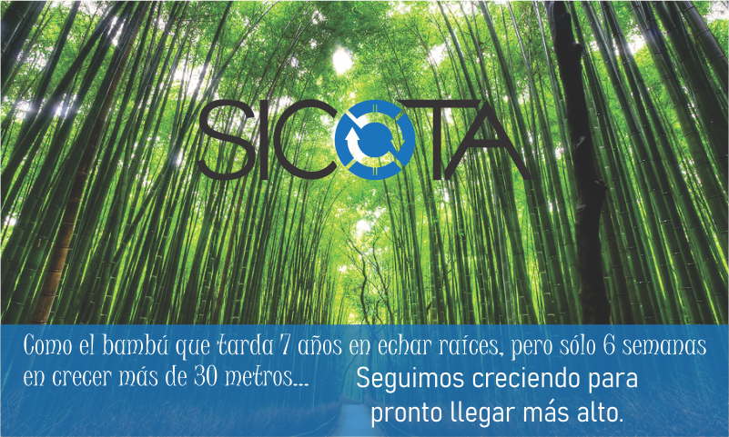 https://sicota.com.mx/wp-content/uploads/2021/07/Reconstruccion_1.png